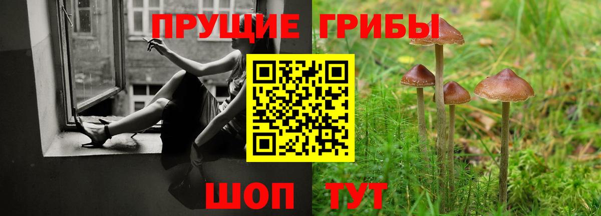 Коряжма  как найти   Вход с VPN  Псилоцибиновые грибы Magic Shrooms 
